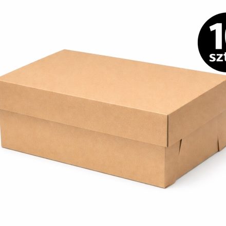 Kartónová deska 320x220x130mm Krabice s víčkem od bot 10 Umělectví
