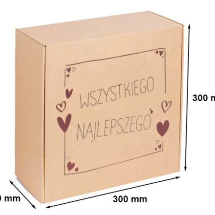 CIRCUMSTANCE CARTON 300x300x110 mm módní box