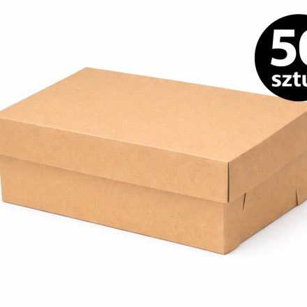 Kartónová deska 320x220x130mm Krabice s víčkem od bot 50 Umělectví